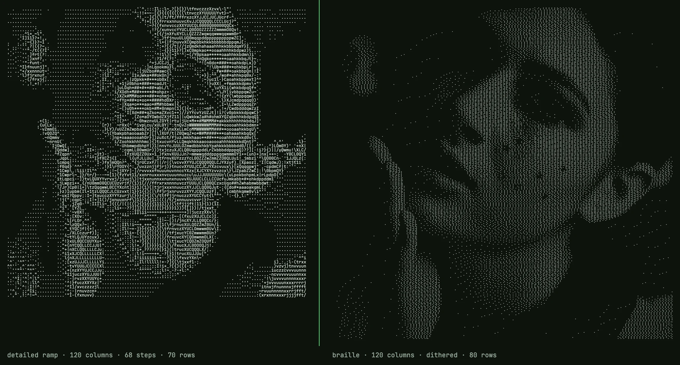 Left: the 68-step detailed ramp at 120 columns, 70 rows. Right: braille at 120 columns, dithered, 80 rows. Same portrait; the braille side keeps the eye sockets and the line of the jaw that the ramp smears.